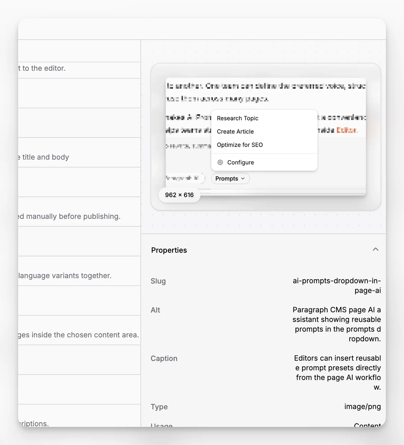Panel podrobností médií v Paragraph CMS zobrazující metadata souboru a stránky, které používají vybraný obrázek.