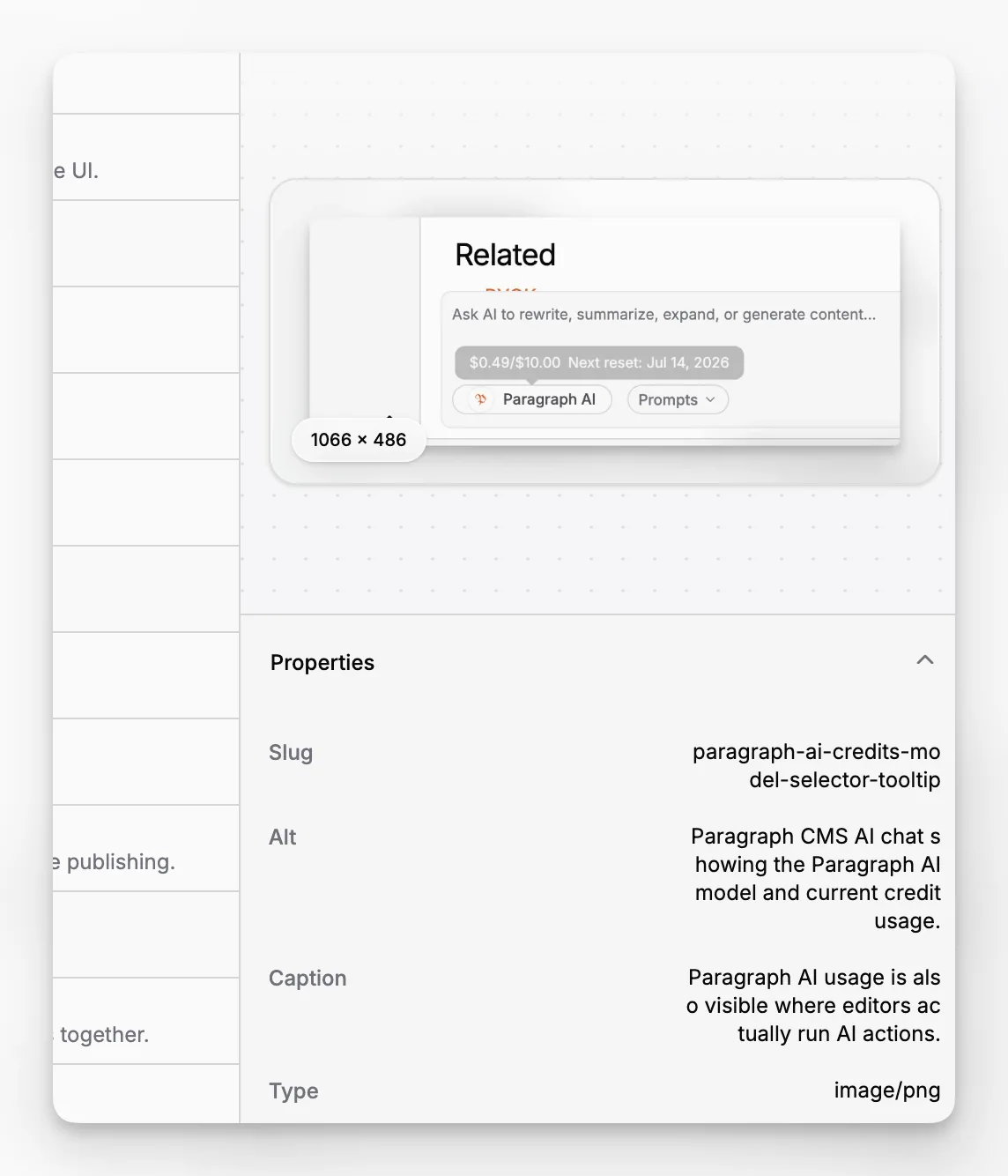 Paragraph CMS-paneel met mediadetails dat een afbeeldingspreview, metadata en paginareferenties toont.