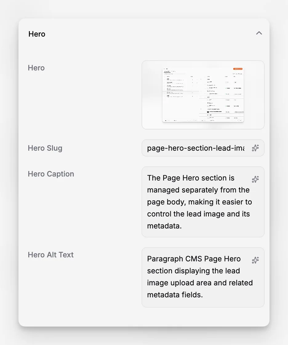 Pola metadanych Page Hero w Paragraph CMS z kontrolkami generowania AI dla slugu, podpisu i tekstu alternatywnego.