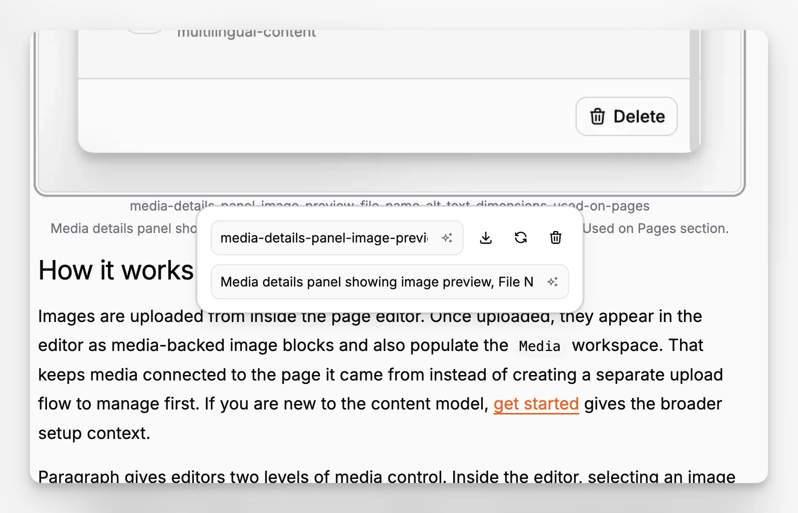 Image element options in the editor, where you can change the slug and caption, download the file, replace the file, or delete it.