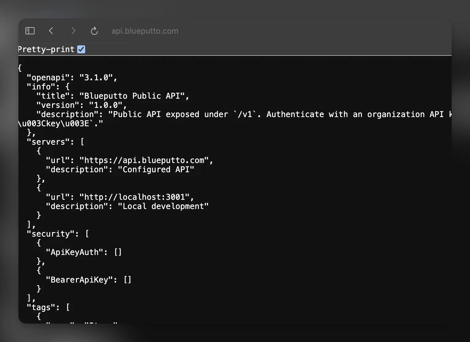 Respuesta raíz de la Public API de Blueputto y documento OpenAPI para la superficie versionada de la API.